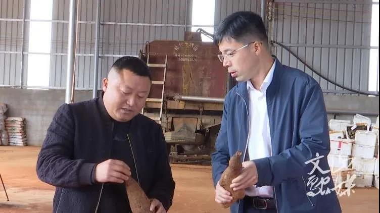 尊龙凯时·人生就是搏·(中国区)官方网站