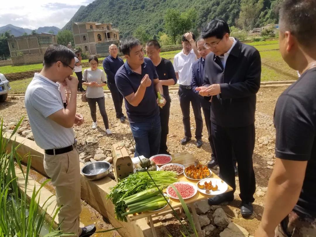 尊龙凯时·人生就是搏·(中国区)官方网站