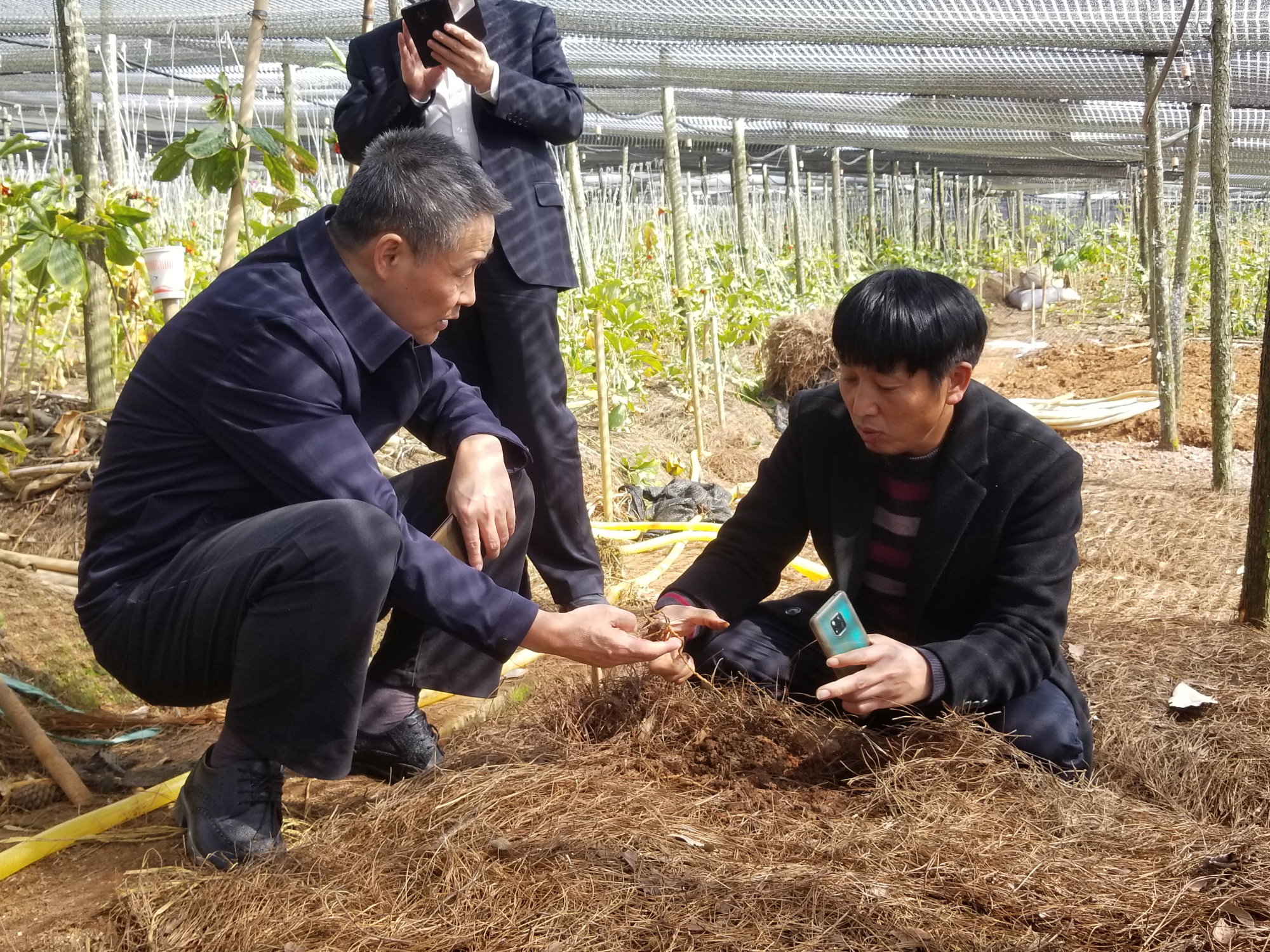 尊龙凯时·人生就是搏·(中国区)官方网站