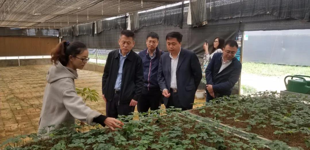 尊龙凯时·人生就是搏·(中国区)官方网站