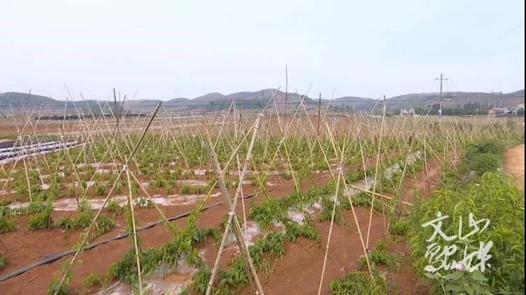 尊龙凯时·人生就是搏·(中国区)官方网站