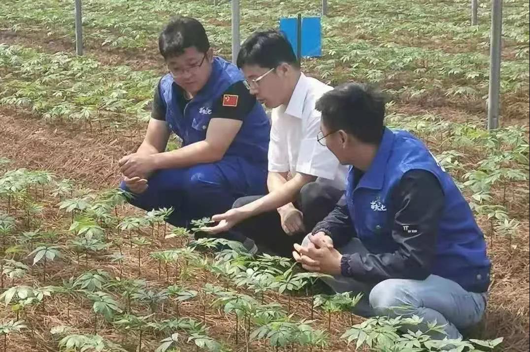 尊龙凯时·人生就是搏·(中国区)官方网站