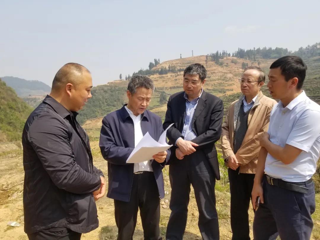 尊龙凯时·人生就是搏·(中国区)官方网站
